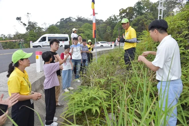Khánh Hòa: Học sinh khuyết tật trải nghiệm hành trình "Theo dấu chân bác sĩ Yersin" Khánh Hòa: Học sinh khuyết tật trải nghiệm hành trình "Theo dấu chân bác sĩ Yersin"