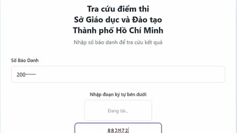 Nghẽn mạng tra cứu điểm thi lớp 10 ở TP HCM
