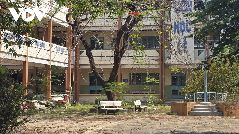 Ngôi trường 3 tầng ở TP.HCM bị bỏ hoang, cỏ mọc um tùm