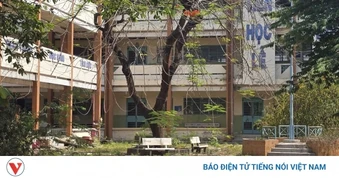 Ngôi trường 3 tầng ở TP.HCM bị bỏ hoang, cỏ mọc um tùm
