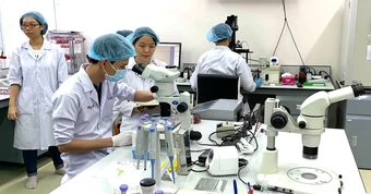 Nhà khoa học hồi hương: Biến kỳ vọng thành năng lực nghiên cứu