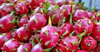 Nước nào ở Đông Nam Á xuất khẩu thanh long nhiều nhất thế giới?