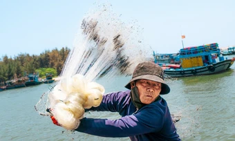Sắc màu cảng cá ở TP HCM qua ống kính học trò