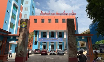Sinh viên bức xúc vì bất ngờ phải thi chuẩn đầu ra Tiếng Anh, Tin học