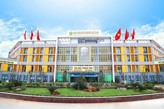 Sinh viên bức xúc vì bị buộc tham gia câu lạc bộ của trường ít nhất 24 tháng Sinh viên bức xúc vì bị buộc tham gia câu lạc bộ của trường ít nhất 24 tháng