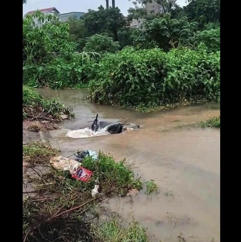 'Tân sinh viên qua đời vì nước cuốn xuống cống là mất mát to lớn của nhà trường' 'Tân sinh viên qua đời vì nước cuốn xuống cống là mất mát to lớn của nhà trường'