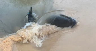 'Tân sinh viên qua đời vì nước cuốn xuống cống là mất mát to lớn của nhà trường'