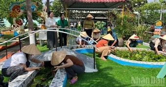 Tinh gọn trường học ở Đồng Tháp