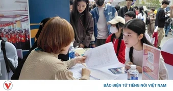 Trường nào mới được gắn chữ "quốc tế", "quốc gia" vào tên gọi?