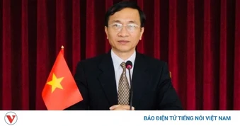 TS Hoàng Ngọc Vinh: Bỏ chỉ tiêu phần luồng chưa đủ, cần phải gỡ 3 điểm nghẽn lớn