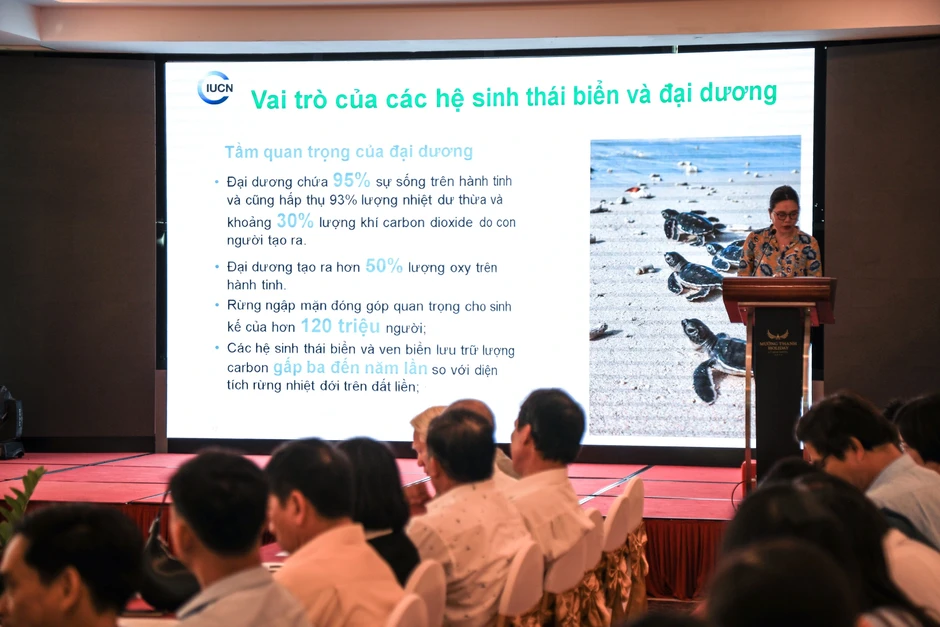 Từ lớp học đến đại dương: Giáo viên Lý Sơn học cách bảo tồn biển Từ lớp học đến đại dương: Giáo viên Lý Sơn học cách bảo tồn biển