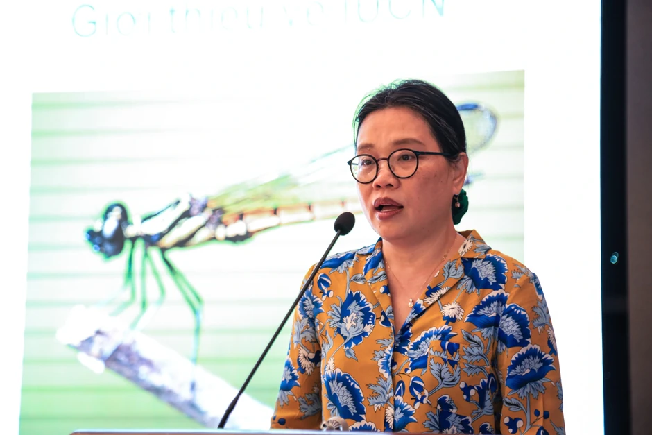 Từ lớp học đến đại dương: Giáo viên Lý Sơn học cách bảo tồn biển Từ lớp học đến đại dương: Giáo viên Lý Sơn học cách bảo tồn biển