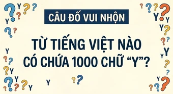 Từ tiếng Việt nào chứa 1000 chữ 'Y'?
