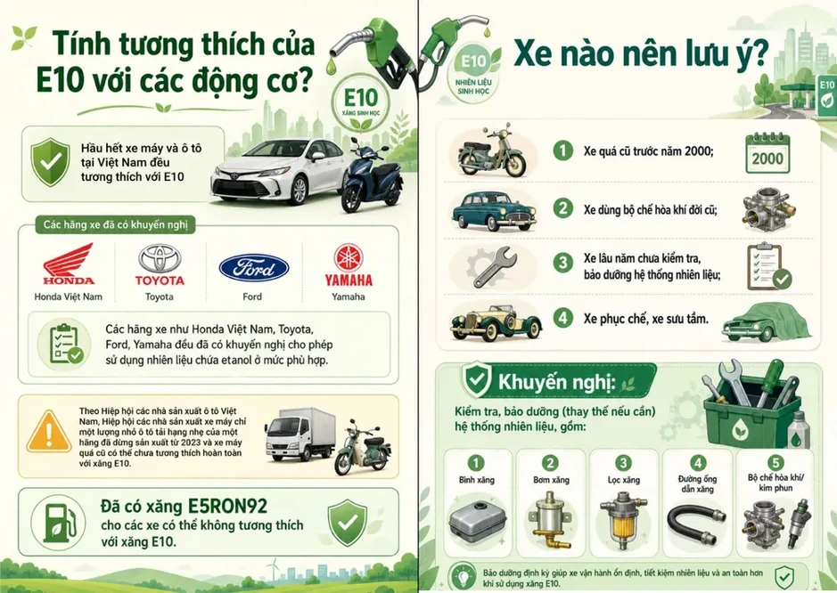 Các hãng phải công bố danh mục xe tương thích với xăng E10 Các hãng phải công bố danh mục xe tương thích với xăng E10