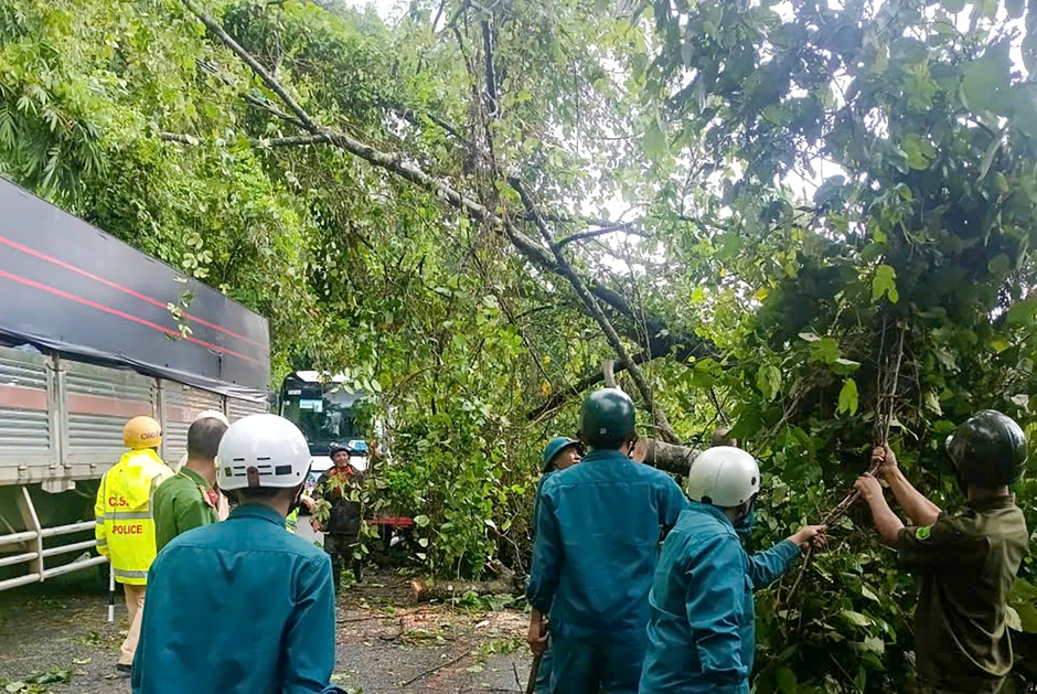 Cây cổ thụ bật gốc đổ xuống Quốc lộ 20, giao thông ùn tắc Cây cổ thụ bật gốc đổ xuống Quốc lộ 20, giao thông ùn tắc