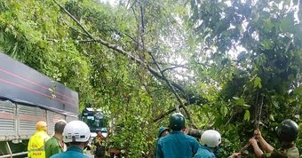 Cây cổ thụ bật gốc đổ xuống Quốc lộ 20, giao thông ùn tắc