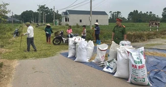 Công an sẽ xử lý các trường hợp cố tình phơi lúa, rơm rạ trên đường