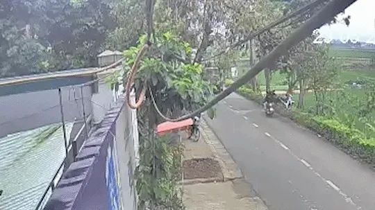Hai phụ nữ đi xe máy thương vong sau va chạm với xe tải Hai phụ nữ đi xe máy thương vong sau va chạm với xe tải