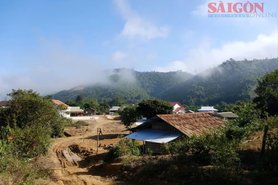 Lâm Đồng: Đầu tư đường vào tiểu khu 179 để phát triển vùng biệt lập Lâm Đồng: Đầu tư đường vào tiểu khu 179 để phát triển vùng biệt lập