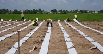 Lễ 2/9, hàng nghìn công nhân vẫn “bám” đại công trường cao tốc miền Tây