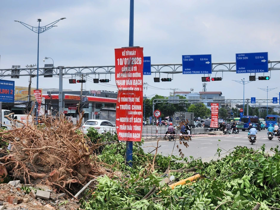 Loạt cây 'khủng' được đốn hạ ở TPHCM để thi công ga ngầm metro số 2 Loạt cây 'khủng' được đốn hạ ở TPHCM để thi công ga ngầm metro số 2