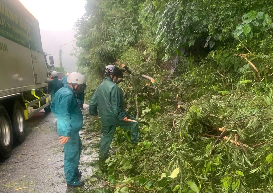 Mưa lớn, nhiều cây rừng ngã đổ chắn ngang đèo Bảo Lộc Mưa lớn, nhiều cây rừng ngã đổ chắn ngang đèo Bảo Lộc