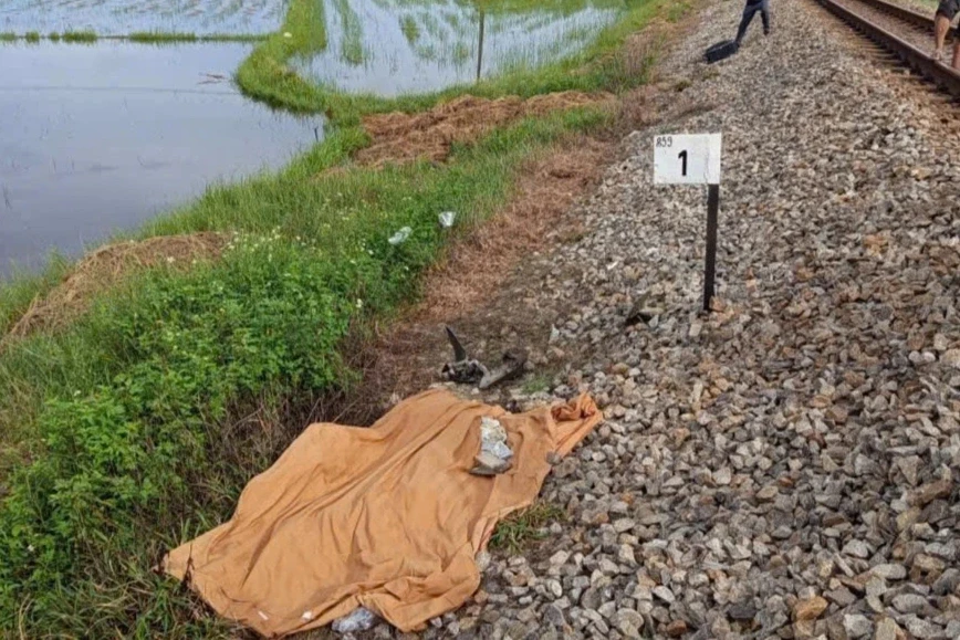 Người đàn ông bị tàu hỏa tông tử vong tại lối đi tự mở Người đàn ông bị tàu hỏa tông tử vong tại lối đi tự mở