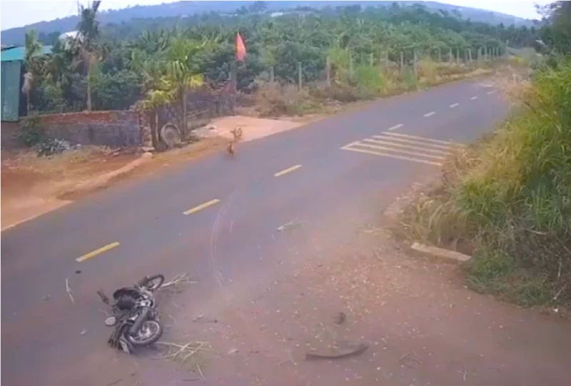 Sẽ họp báo thông tin rõ vụ tai nạn giao thông khiến 1 học sinh tử vong ở Đắk Lắk