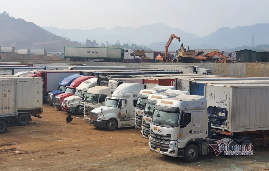 Thiếu tài xế container, chuỗi vận tải đối mặt nguy cơ đứt gãy