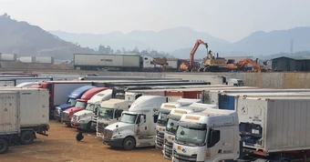 Thiếu tài xế container, chuỗi vận tải đối mặt nguy cơ đứt gãy