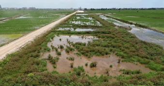Vụ đường nối sân bay chìm giữa ruộng nước: Cắt hợp đồng nhà thầu thi công