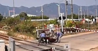 Vụ người phụ nữ lái xe tông rào chắn: Khen thưởng 2 nhân viên đường sắt