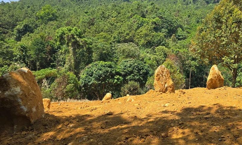 Xử lý vụ san gạt, mở đường, lấn suối tại đèo Bảo Lộc