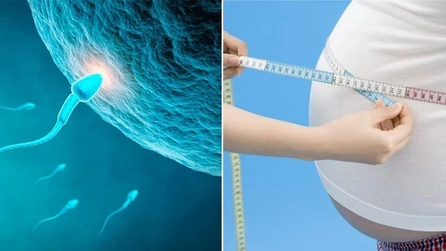 6 thói quen gây hại tinh trùng đa số nam giới thường mắc