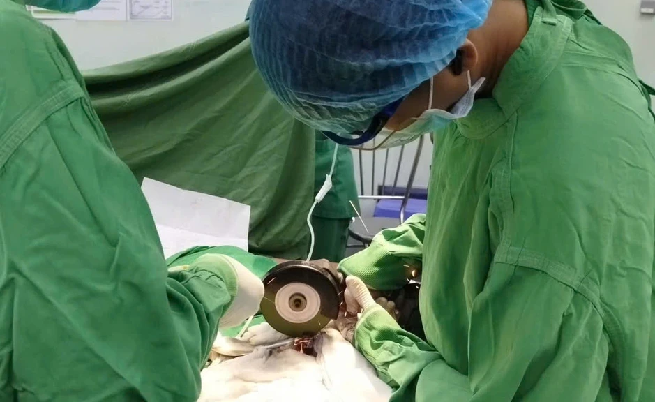 Suýt phải cắt bỏ dương vật bị 2 đai ốc kim loại siết chặt Suýt phải cắt bỏ dương vật bị 2 đai ốc kim loại siết chặt