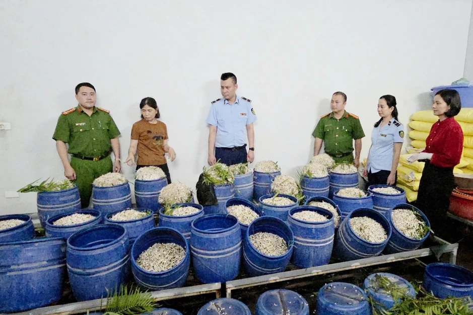 Bắt tạm giam 2 chủ cơ sở sản xuất giá đỗ bằng hóa chất cấm Bắt tạm giam 2 chủ cơ sở sản xuất giá đỗ bằng hóa chất cấm