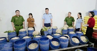 Bắt tạm giam 2 chủ cơ sở sản xuất giá đỗ bằng hóa chất cấm