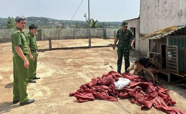 Bí mật kinh hoàng trong đống cà phê khô của vợ chồng "ông trùm" Trịnh Minh Sản Bí mật kinh hoàng trong đống cà phê khô của vợ chồng "ông trùm" Trịnh Minh Sản