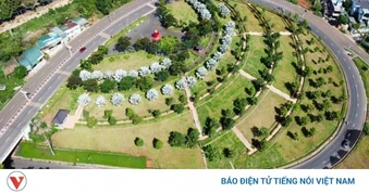 Cơ quan an ninh điều tra ban hành kết luận điều tra vụ án cây xanh Công Minh