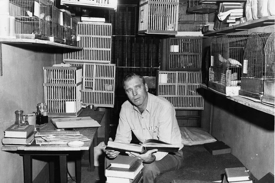 'Người chim Alcatraz' và cuộc đời khó tin của kẻ sát nhân 'Người chim Alcatraz' và cuộc đời khó tin của kẻ sát nhân