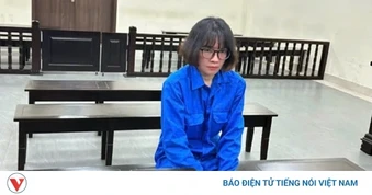 Tuyên án 13 năm tù với bị cáo lừa đảo mang thai hộ, chiếm đoạt 800 triệu đồng
