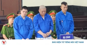 Vận chuyển thuê sầu riêng lại đem bán lấy tiền tỷ, 3 bị cáo bị tuyên án tù