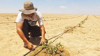 Kỹ thuật phục hồi sa mạc của Israel