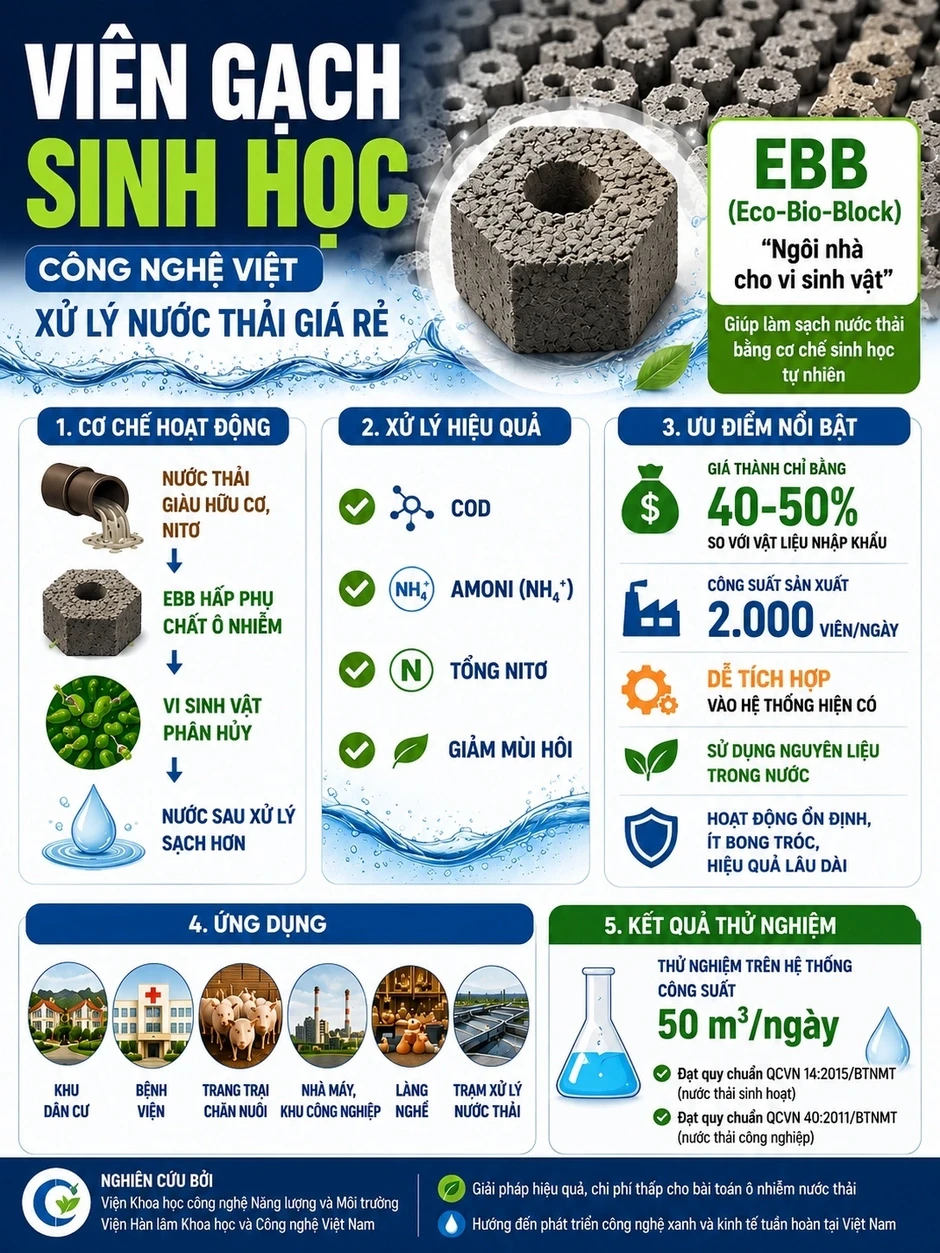 "Gạch sinh học" của nhà khoa học Việt làm sạch nước, rẻ bằng 1/2 hàng nhập