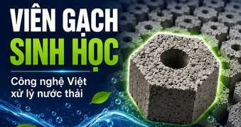 "Gạch sinh học" của nhà khoa học Việt làm sạch nước, rẻ bằng 1/2 hàng nhập
