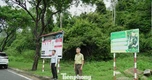 Cắm bảng, túc trực nhắc khách không cho khỉ ăn để giữ mái nhà xanh Sơn Trà