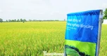 Cần Thơ đẩy mạnh sử dụng phân bón hữu cơ để giảm phát thải