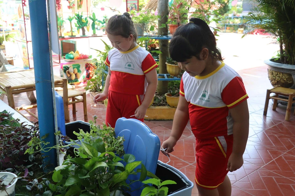Đà Nẵng gieo mầm xanh từ những ngôi trường không rác thải nhựa Đà Nẵng gieo mầm xanh từ những ngôi trường không rác thải nhựa