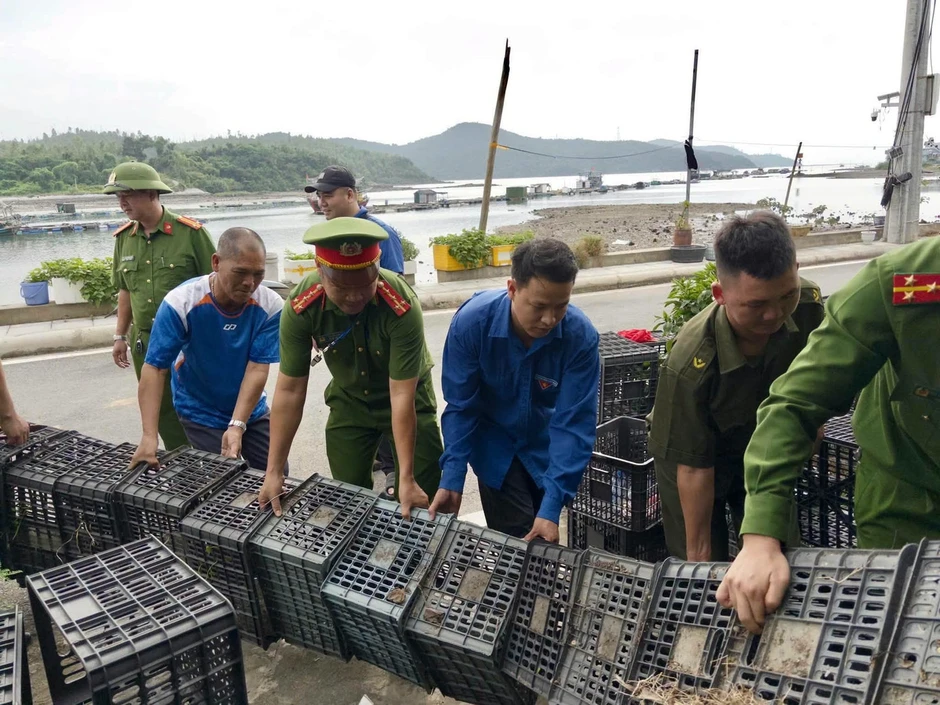 Đặc khu Vân Đồn lập đội thanh niên 'phản ứng nhanh' với rác thải Đặc khu Vân Đồn lập đội thanh niên 'phản ứng nhanh' với rác thải