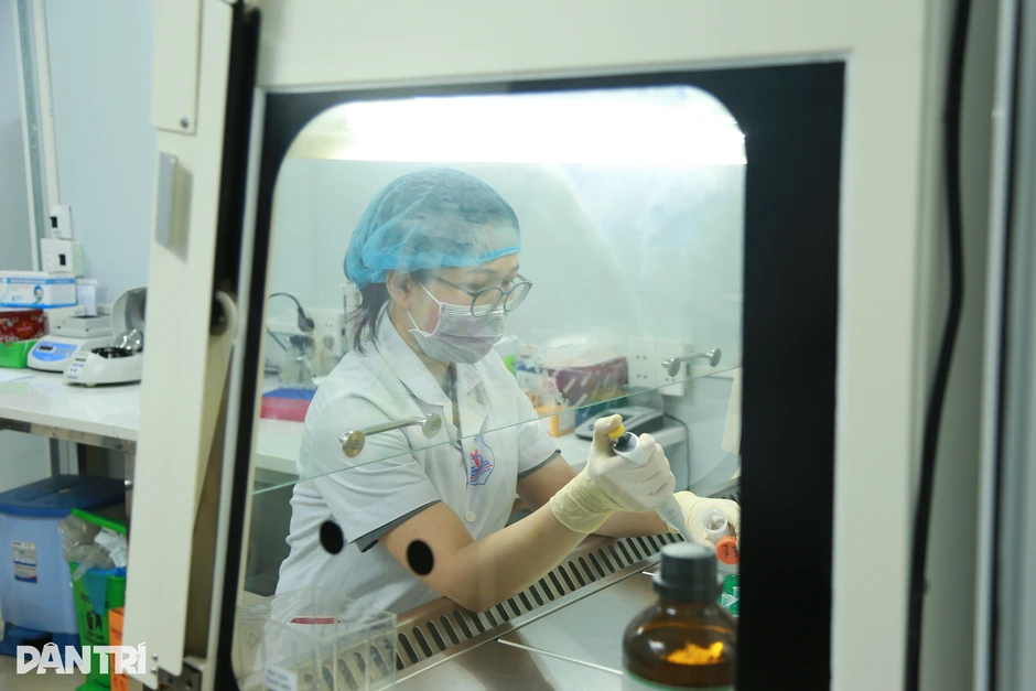 Đi nửa vòng trái đất, người đàn ông tìm lại gốc tích ở Việt Nam nhờ ADN Đi nửa vòng trái đất, người đàn ông tìm lại gốc tích ở Việt Nam nhờ ADN